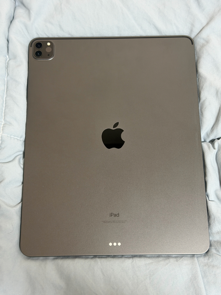 아이패드 프로 5세대 12.9인치 256기가 스페이스그레이 이미지
