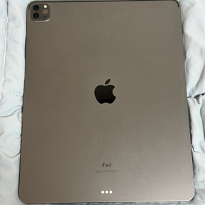아이패드 프로 5세대 12.9인치 256기가 스페이스그레이 이미지