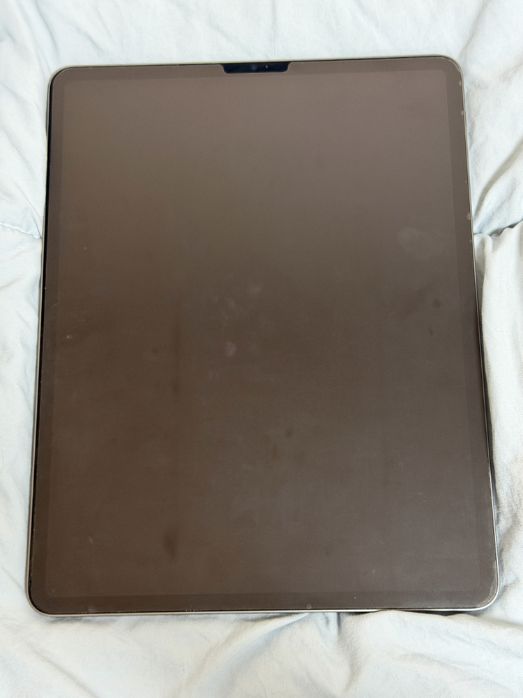 아이패드 프로 5세대 12.9인치 256기가 스페이스그레이 이미지