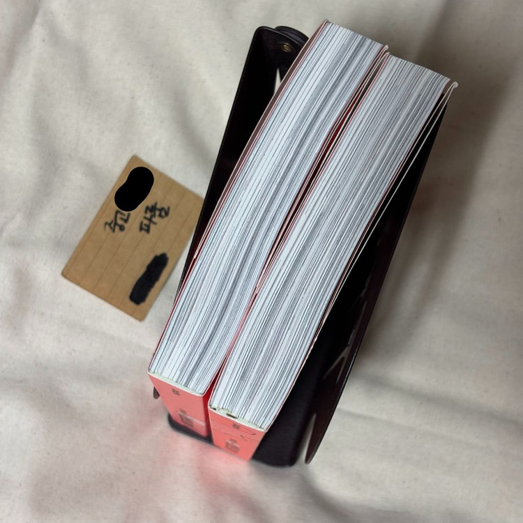 효정의 발화점 1-2 완결 이미지