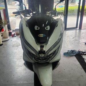 pcx 19년식 이미지