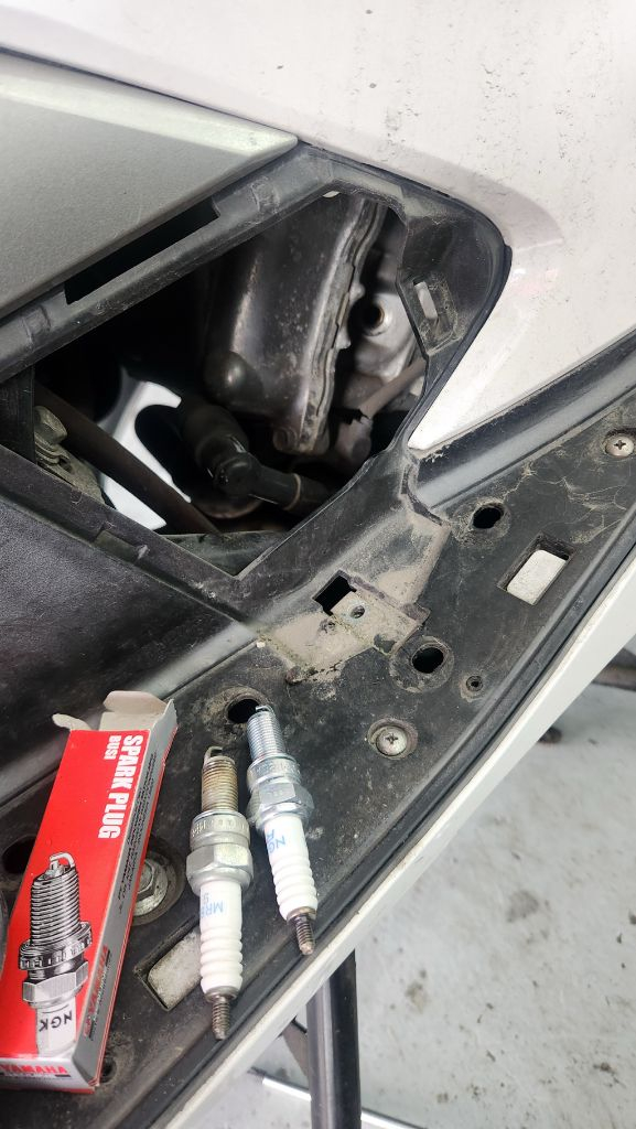 pcx 19년식 이미지