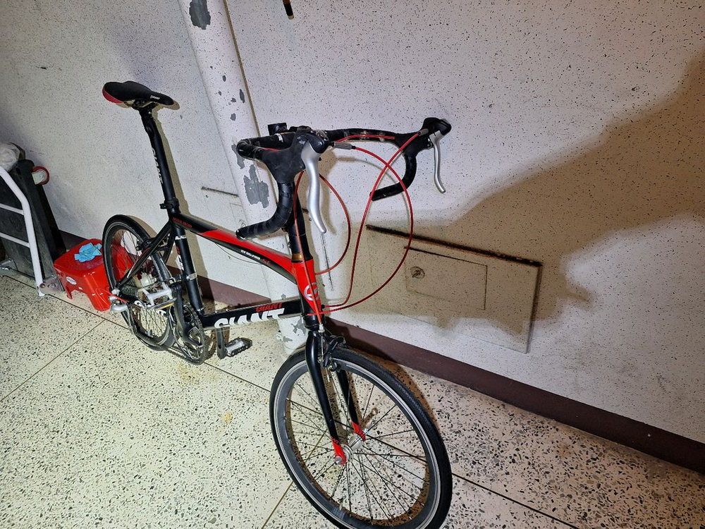 자이언트 미니벨로 자전거 이미지