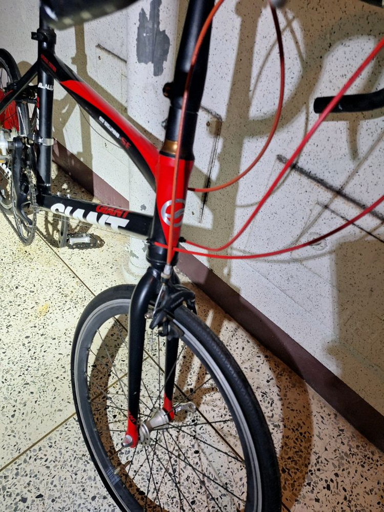 자이언트 미니벨로 자전거 이미지