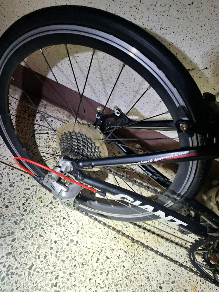 자이언트 미니벨로 자전거 이미지