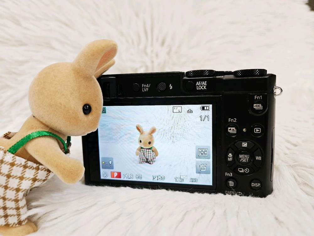 [민트] 파나소닉 루믹스 ZS100 하이엔드 디카, 디지털카메라, 라이카 이미지