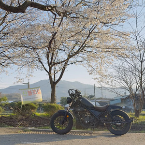 혼다 레블300 바버스타일 이미지