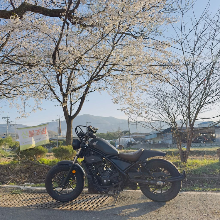 혼다 레블300 바버스타일 이미지