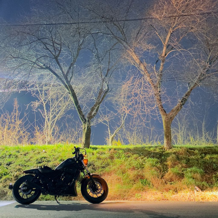 혼다 레블300 바버스타일 이미지