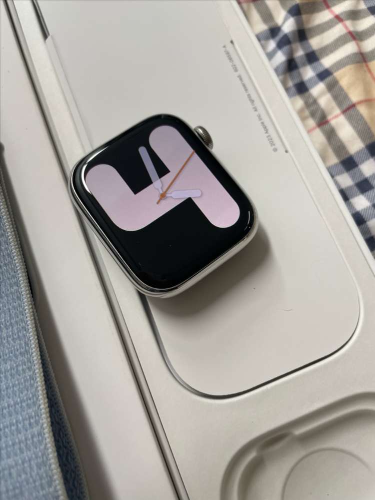 애플워치9스테인리스 45mm 실버 SSS급 이미지