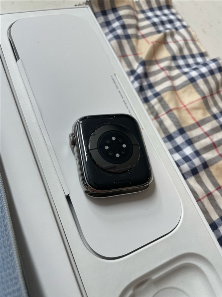 애플워치9스테인리스 45mm 실버 SSS급 이미지