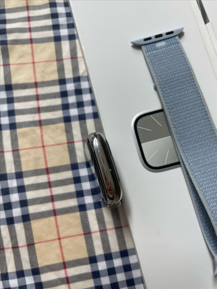 애플워치9스테인리스 45mm 실버 SSS급 이미지