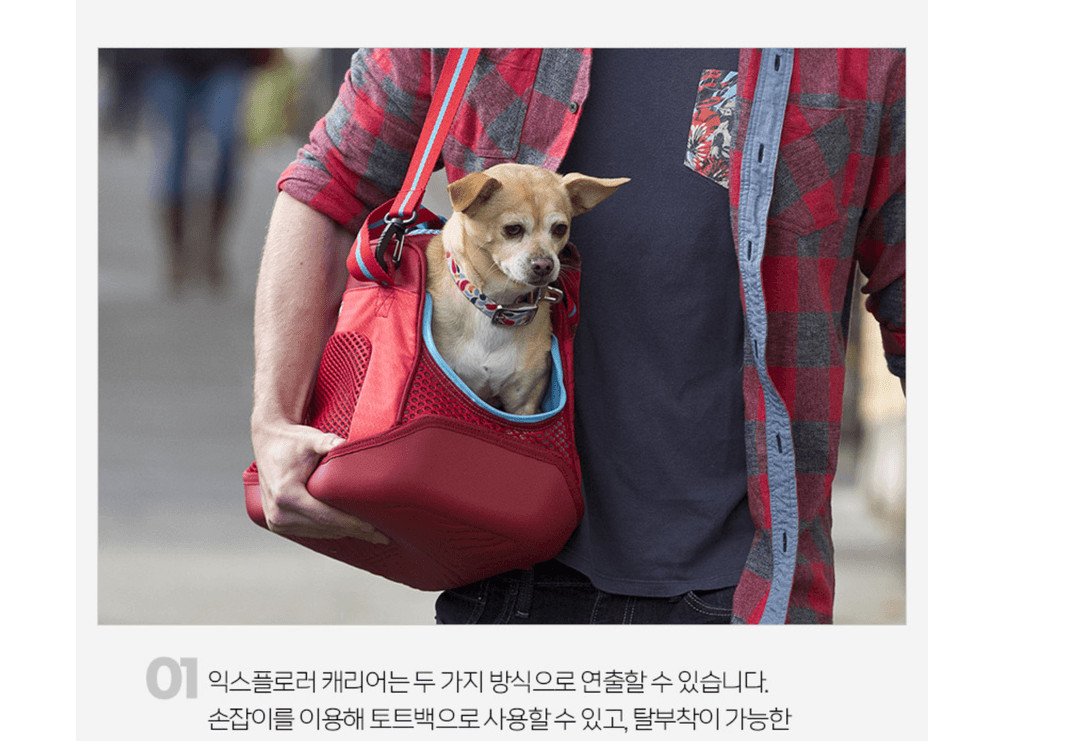 커고 익스플로러 캐리어 레드 강아지 고양이 소형견 이동 가방 이동장 기내용 이미지