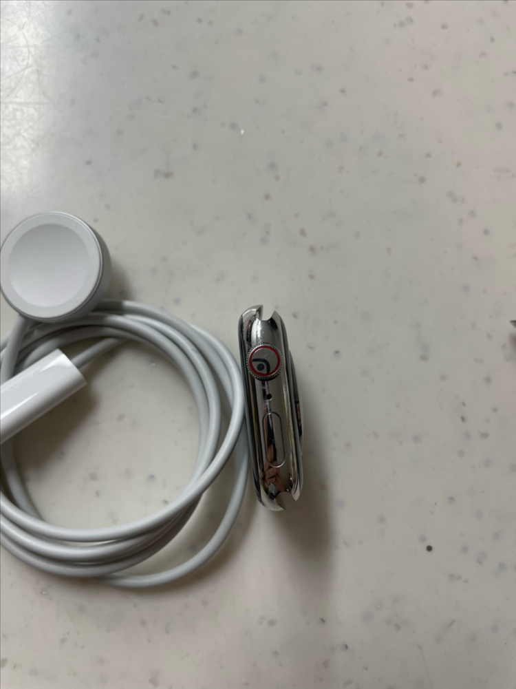 애플워치7에르메스 45mm 실버 이미지