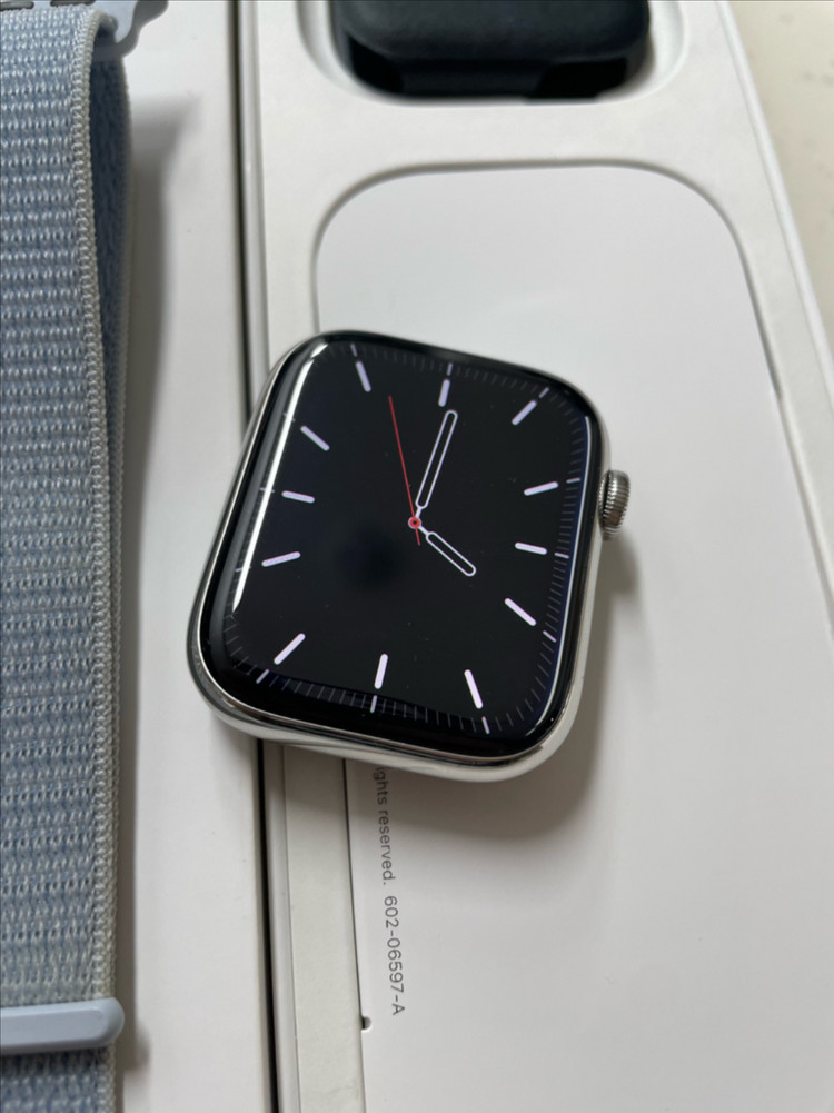 애플워치9스테인리스 45mm 실버 SSS급 이미지