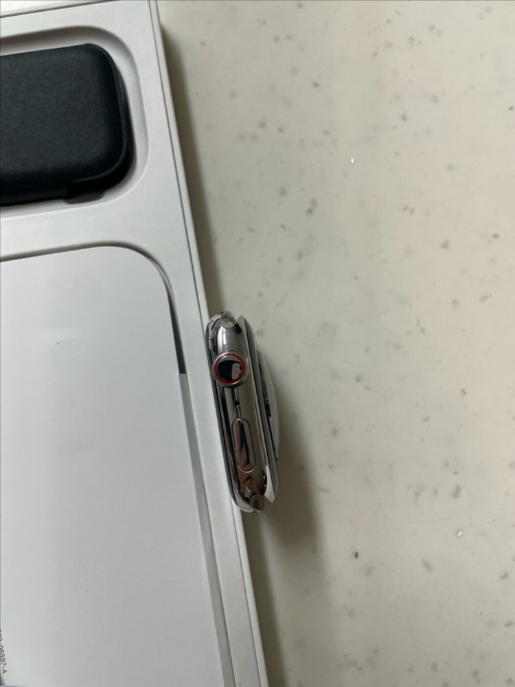 애플워치9스테인리스 45mm 실버 SSS급 이미지