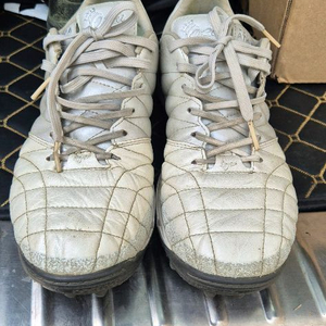 아슬레타 255 이미지