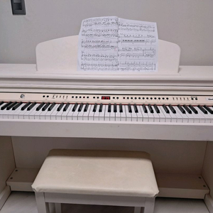 다이나톤 디지털 피아노 DPR-2160S 화이트 이미지