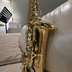 셀머 악소스 세레스 알토색소폰(케이스 없음)무조건 직거래 이미지