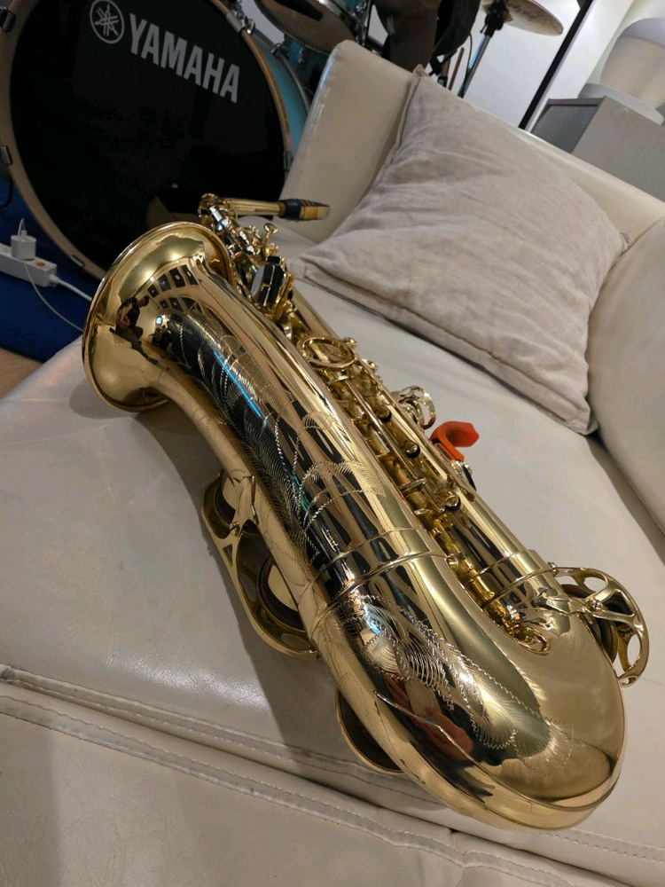 셀머 악소스 세레스 알토색소폰(케이스 없음)무조건 직거래 이미지