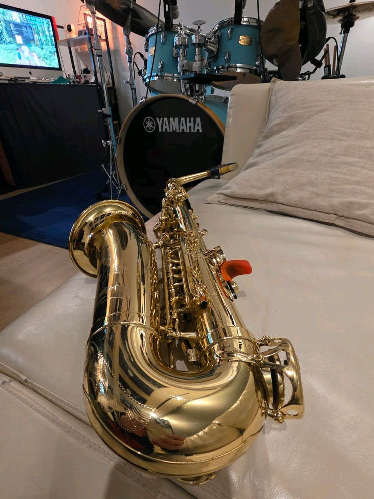 셀머 악소스 세레스 알토색소폰(케이스 없음)무조건 직거래 이미지