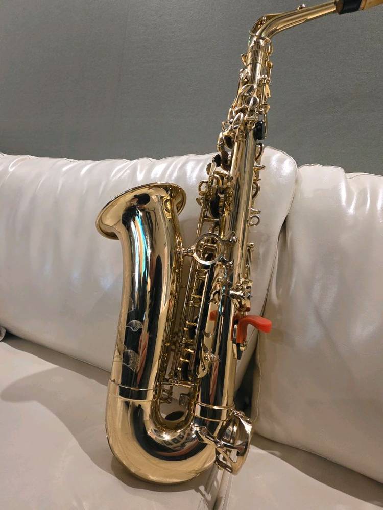 셀머 악소스 세레스 알토색소폰(케이스 없음)무조건 직거래 이미지