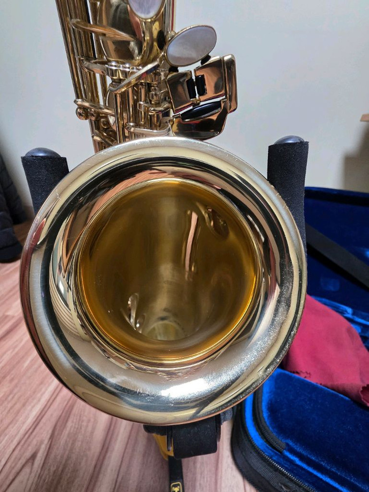 셀머 악소스 세레스 알토색소폰(케이스 없음)무조건 직거래 이미지