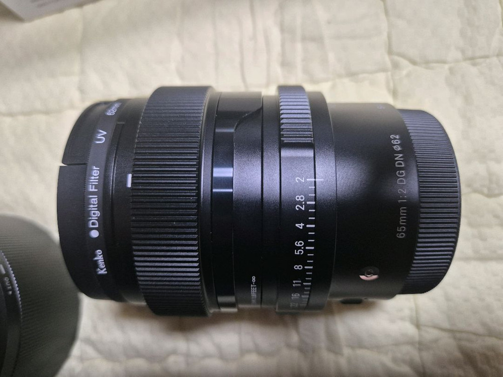 소니 E 마운트용 시그마 65mm F2 이미지