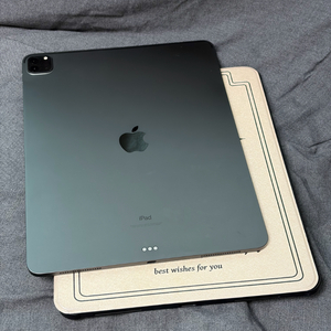 아이패드 프로 4세대 12.9인치 와이파이 256GB 스그 케이스 ios17 57만 이미지
