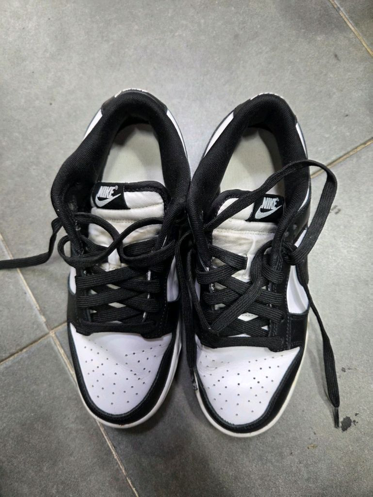 나이키 덩크로우 240 이미지