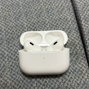 애플 에어팟 프로 2세대 이미지