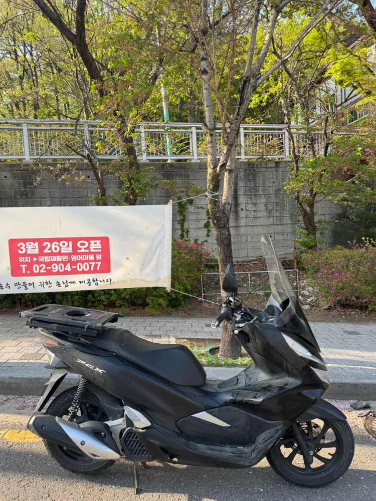 pcx19년식팝니다 이미지