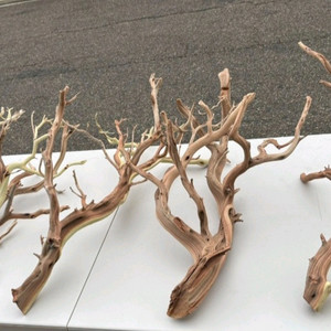 프리미엄 유목 판매, 만자니타 나무 이미지