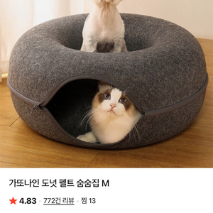 반려동물 숨숨집 이미지