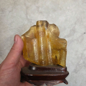 러시아호박 120g 좌대포함 이미지