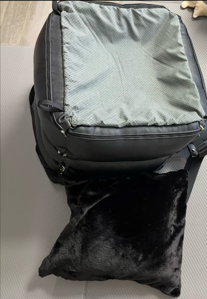 코카스빈 카시트 이미지