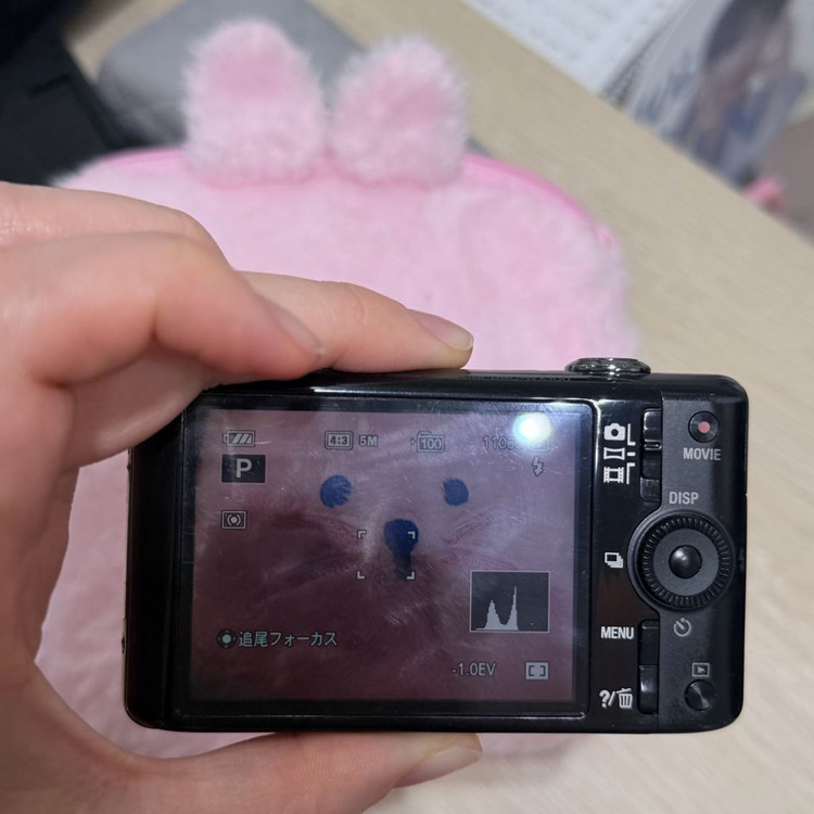 소니 사이버샷 DSC-WX100 (풀구성) 유튜버 최마태님 추천 이미지