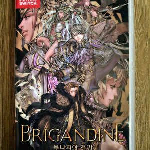 닌텐도 스위치 브리간다인 루나지아 전기 반값 택포 이미지