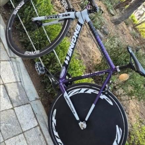 엔진11크릿디 급쳐 이미지