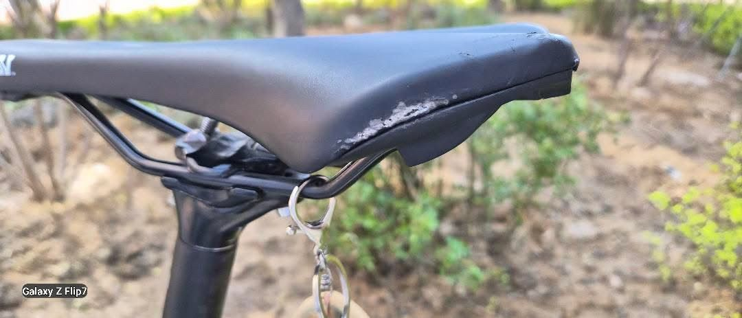 엔진11크릿디 급쳐 이미지