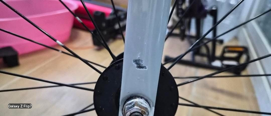 엔진11크릿디 급쳐 이미지