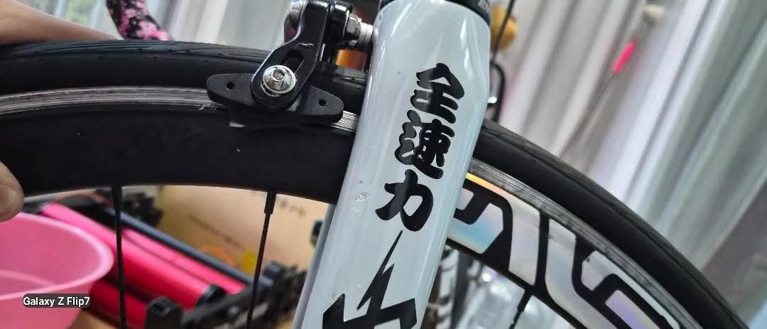 엔진11크릿디 급쳐 이미지