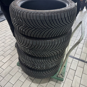cc2 2354518 힌대분 팝니다 이미지