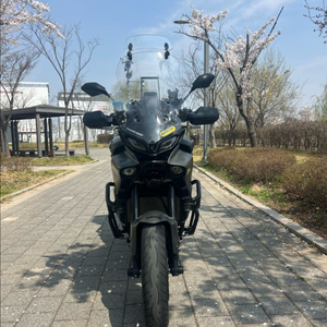 트레이서9GT 에로우 풀배기 이미지