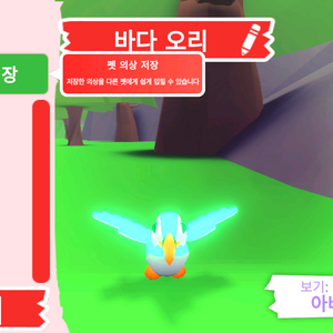 입양하세요 펫 메가네온 바다 오리 판매합니다 이미지