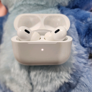 에어팟프로2 c타입 이미지