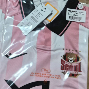 FC서울 블라썸 에디션 115 (노마킹) 이미지