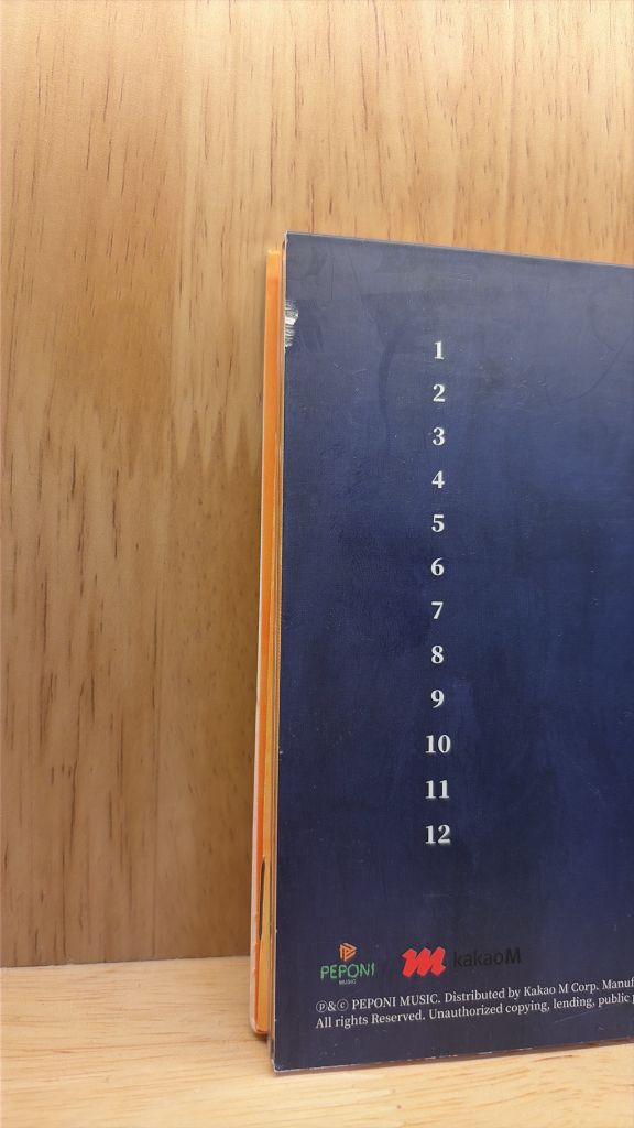 잔나비 전설 CD 개봉 이미지