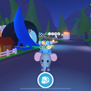 입양하세요 펫 나눔이벤트 (1등상품 코끼리)많이 오세요 이미지