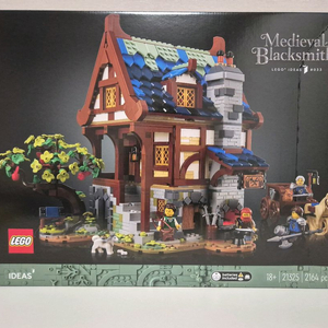 레고 21325 MISB 미개봉 이미지